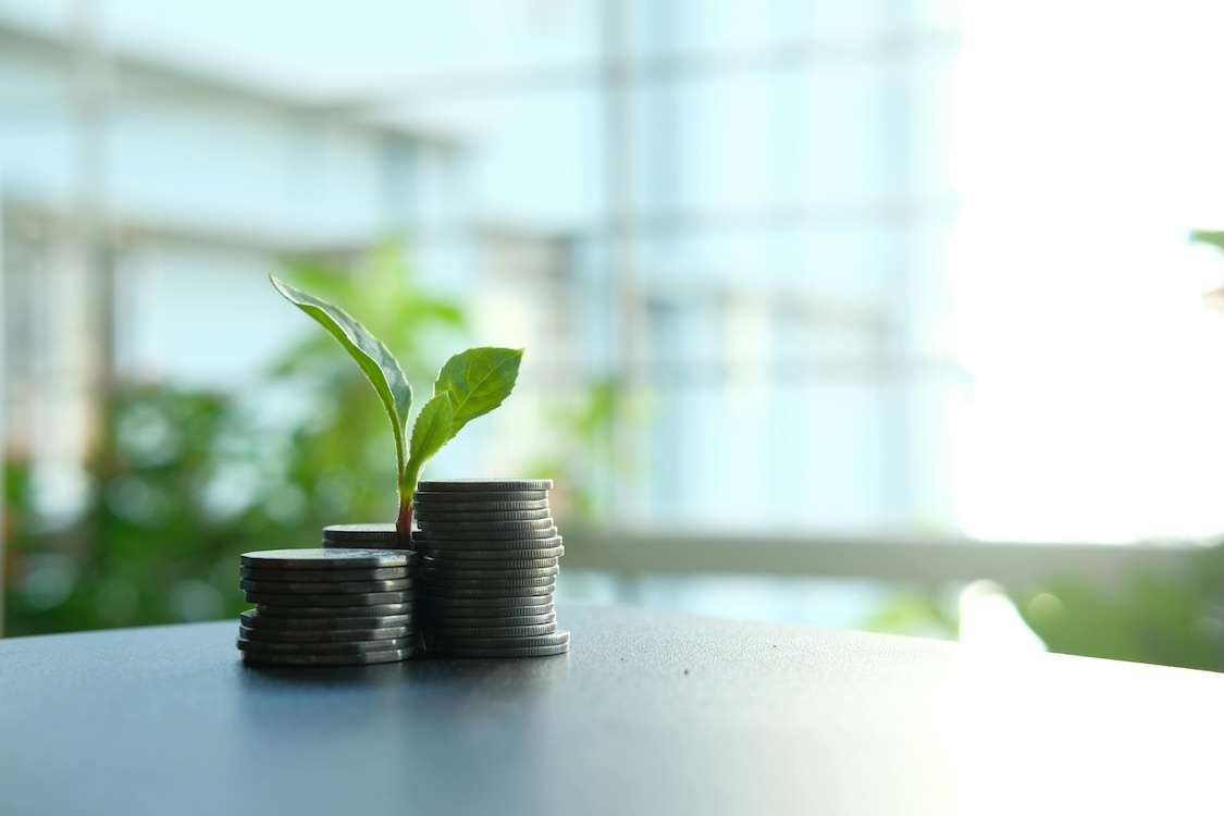 startups and SMBs